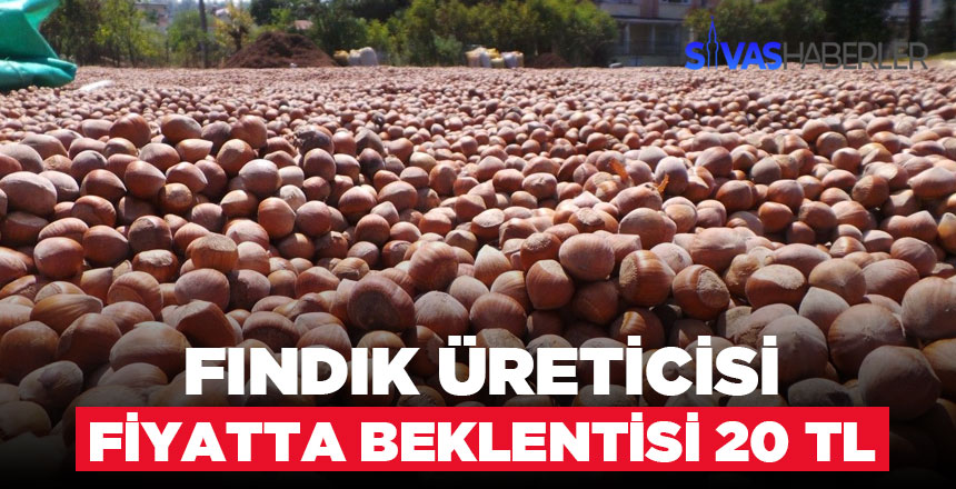 Fındıkta bu yıl beklenti 20 TL düşünülüyor Fındıkta bu yıl beklenti 20 TL düşünülüyor